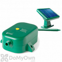 Rain Wizard Solar Pump