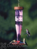 Schrodt Amethyst Paradise Lantern Hummingbird Feeder 12 in. (HBLAP)