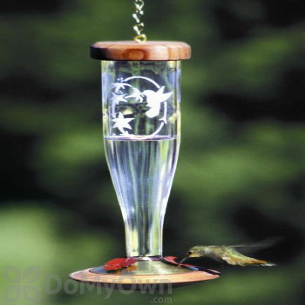 Schrodt Crystal Etched Lantern Hummingbird Feeder 12 In Hblce