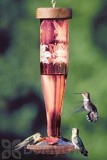 Schrodt Ruby Paradise Lantern Hummingbird Feeder 12 in. (HBLRP)