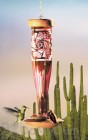 Schrodt Southwest Ruby Hummingbird Feeder 12 in. (HBLRSW)