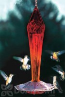 Schrodt Ruby Faceted Glass Hummingbird Feeder (PBBSFGHFR)