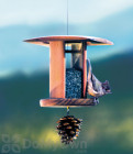 Schrodt Nyger Songbird Lantern Feeder 7 in. (PBBSSBNL)