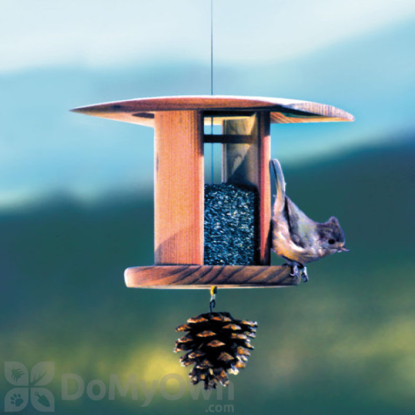 Schrodt Nyger Songbird Lantern Feeder 7 in. (PBBSSBNL)