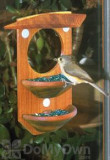 Schrodt Songbird Window Feeder (WF)