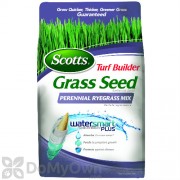 Scotts Turf Builder Grass Seed Perennial Ryegrass Mix
