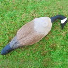 Bird Barrier Goose Guard Kit (sd-gs10)
