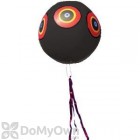 Bird Barrier Black Bird Scare Eye Balloon (sd-se20)