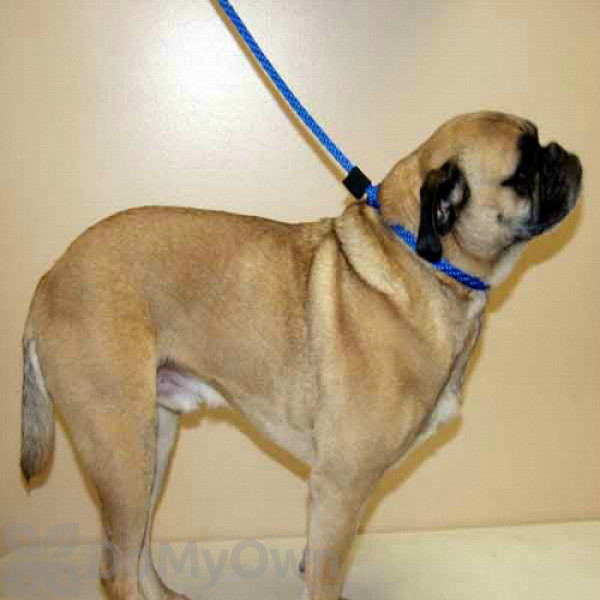 Soft Lines Dog Slip Leash 5 / 8\" Diameter x 8\' Lime Green