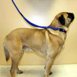 Alternate Image 1 Thumbnail