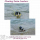 Soft Lines Floating Dog Swim Snap Leashes - 1 / 4