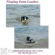 Soft Lines Floating Dog Swim Snap Leashes - 1 / 2'' Diameter x 20 Foot