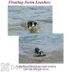 Soft Lines Floating Dog Swim Snap Leashes - 1 / 2'' Diameter x 30 Foot
