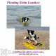 Soft Lines Floating Dog Swim Slip Leashes - 3 / 8'' Diameter x 50 Foot