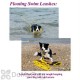 Soft Lines Floating Dog Swim Slip Leashes - 1 / 2'' Diameter x 40 Foot