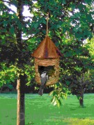 Songbird Essentials Small Hanging Grass Twine Bird House with Roof (SE10345)