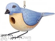Songbird Essentials Eastern Bluebird Bird House (SE3880115)