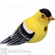 Songbird Essentials Goldfinch Bird House (SE3880061)