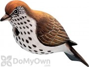 Songbird Essentials Hermit Thrush Bird House (SE3880063)