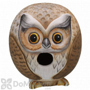 Songbird Essentials Owl Gord - O Bird House (SE3880065)