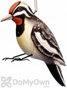 Songbird Essentials Sapsucker Bird House (SE3880122)