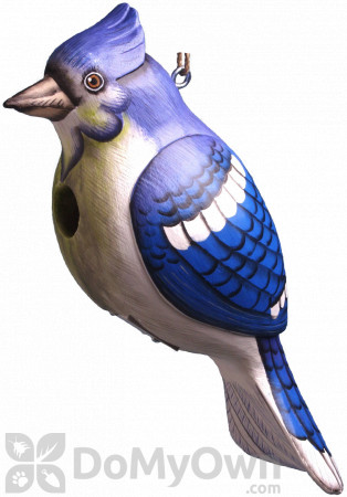 Songbird Essentials Blue Jay Bird House (SE3880302)