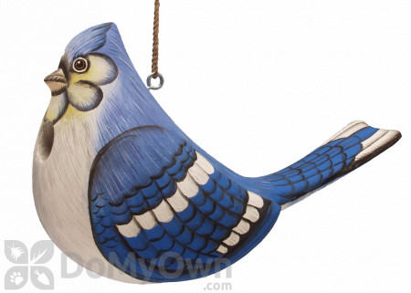 Songbird Essentials Fat Blue Jay Bird House (SE3880307)