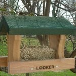 Songbird Essentials Little Looker Bird Feeder (SE514)