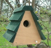 Songbird Essentials Wren House A - Frame Bird House (SE518)