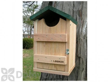 Songbird Essentials Screech Owl Bird House (SE519)