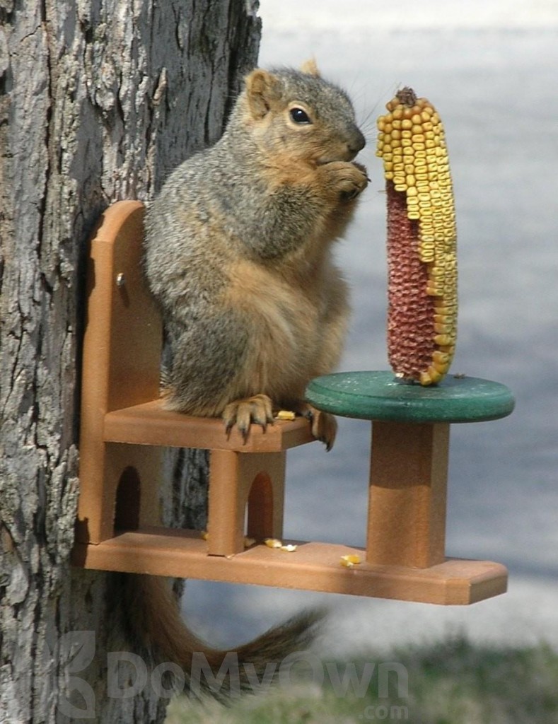 Songbird Essentials Recycled Poly Table and Chair Squirrel