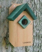 Songbird Essentials Green Roof Bluebird House (SE543)
