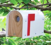 Songbird Essentials Marthas Mailbox Wren House (SE545)