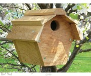 Songbird Essentials Carolina Wren All Purpose Bird House (SE546)