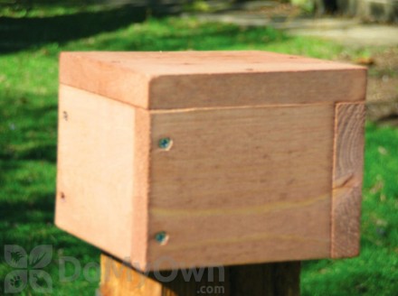 Mounting Hardware For Birding Supplies Bird Feeder Mounting