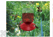 Songbird Essentials Dr. JB complete Switchable Hummingbird Feeder with Red Flowers Bulk 48 oz. (SE6026)