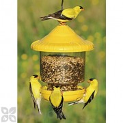 Songbird Essentials Yellow Clingers Only Bird Feeder (SE7011)