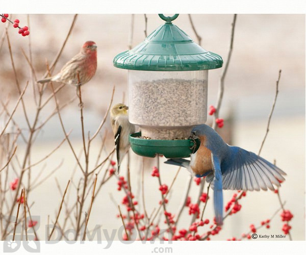 Songbird Essentials Green Clingers Only Bird Feeder Se7012