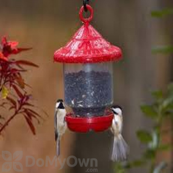 Songbird Essentials Red Clingers Only Bird Feeder Se7013