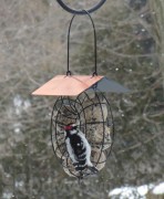 Songbird Essentials Copper Roof Round Wire Circle Suet Ball Bird Feeder (SE909)