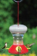 Songbird Essentials Fliteline Red Hummingbird Feeder 30 oz. (SEBCO360)