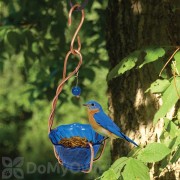 Songbird Essentials Copper Bluebird Mealworm Feeder (SEHHBBMW)