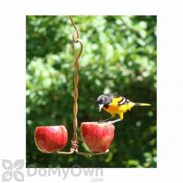 Songbird Essentials Double Fruit Bird Feeder Sehhdbap