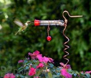Songbird Essentials Flower Pot One Tube Hummingbird Feeder (SEHHFPF1)