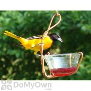 Songbird Essentials Single Jelly Cup Bird Feeder 6 oz. (SEHHJLSC)