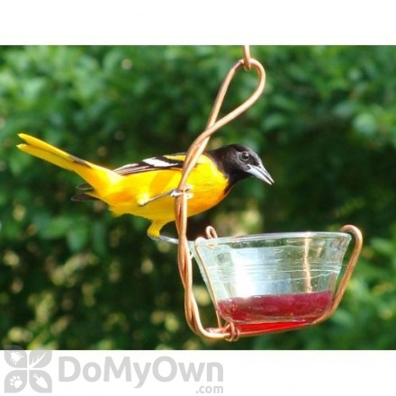 Fruit And Jelly Bird Feeders Bird Supplies Domyown Com