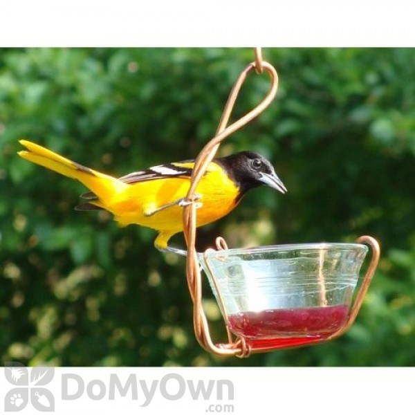 Songbird Essentials Single Jelly Cup Bird Feeder 6 Oz Sehhjlsc