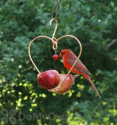 Songbird Essentials Love Birds Fruit Bird Feeder (SEHHLBAP)