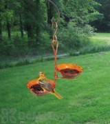 Songbird Essentials Copper Double Cup Oriole Jelly Feeder (SEHHORDC)