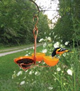Songbird Essentials Copper Single Cup Oriole Fruit and Jelly Feeder (SEHHORFJ)